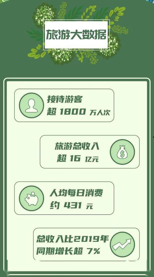 大硕新春爆料最新消息,揭秘娱乐圈最新动态，独家揭秘明星幕后故事